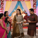 Net Fabric with Multicolor Embroidery